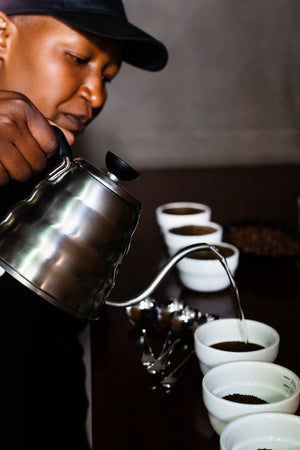 Brewing Basics | Online Training