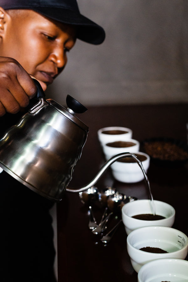 Brewing Basics | Online Training