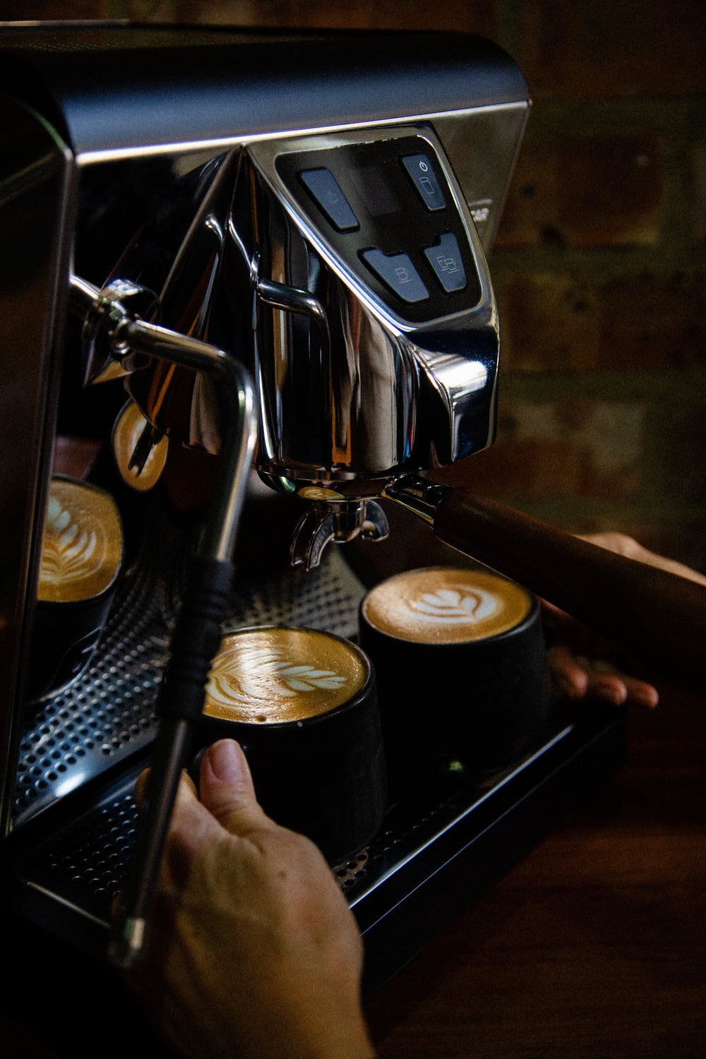 Barista Basics | Online Training