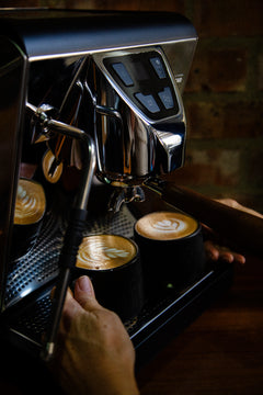 Barista Basics | Online Training