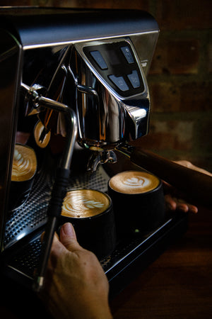 Barista Basics | Online Training