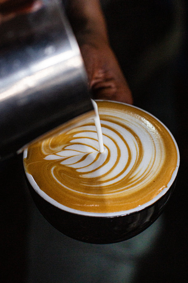 Latte Art Workshop